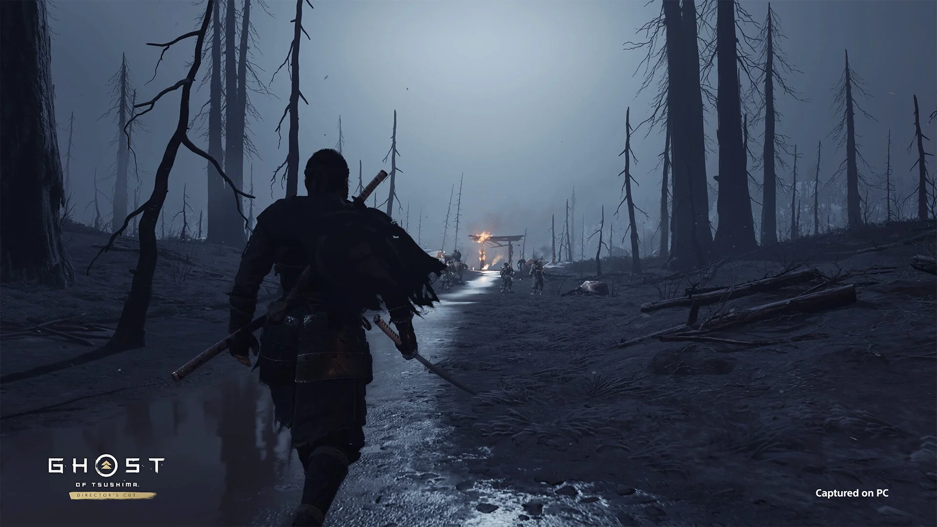 РФ+ЕС+ТР / СНГ (БЕЗ РФ) | Ghost of Tsushima DIRECTOR&acute;S CUT | STEAM