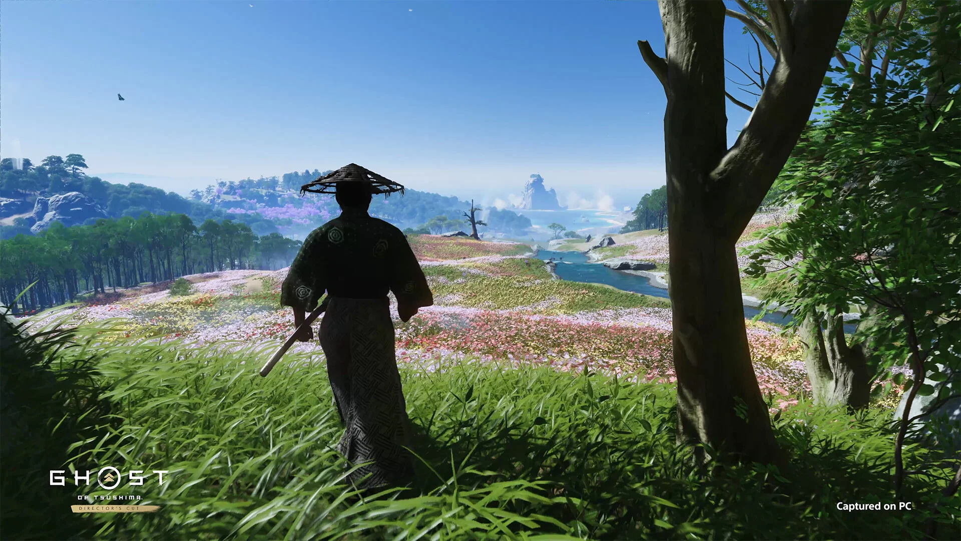 РФ+ЕС+ТР / СНГ (БЕЗ РФ) | Ghost of Tsushima DIRECTOR&acute;S CUT | STEAM